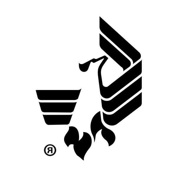 University of Phoenix bird logo with registered trademark